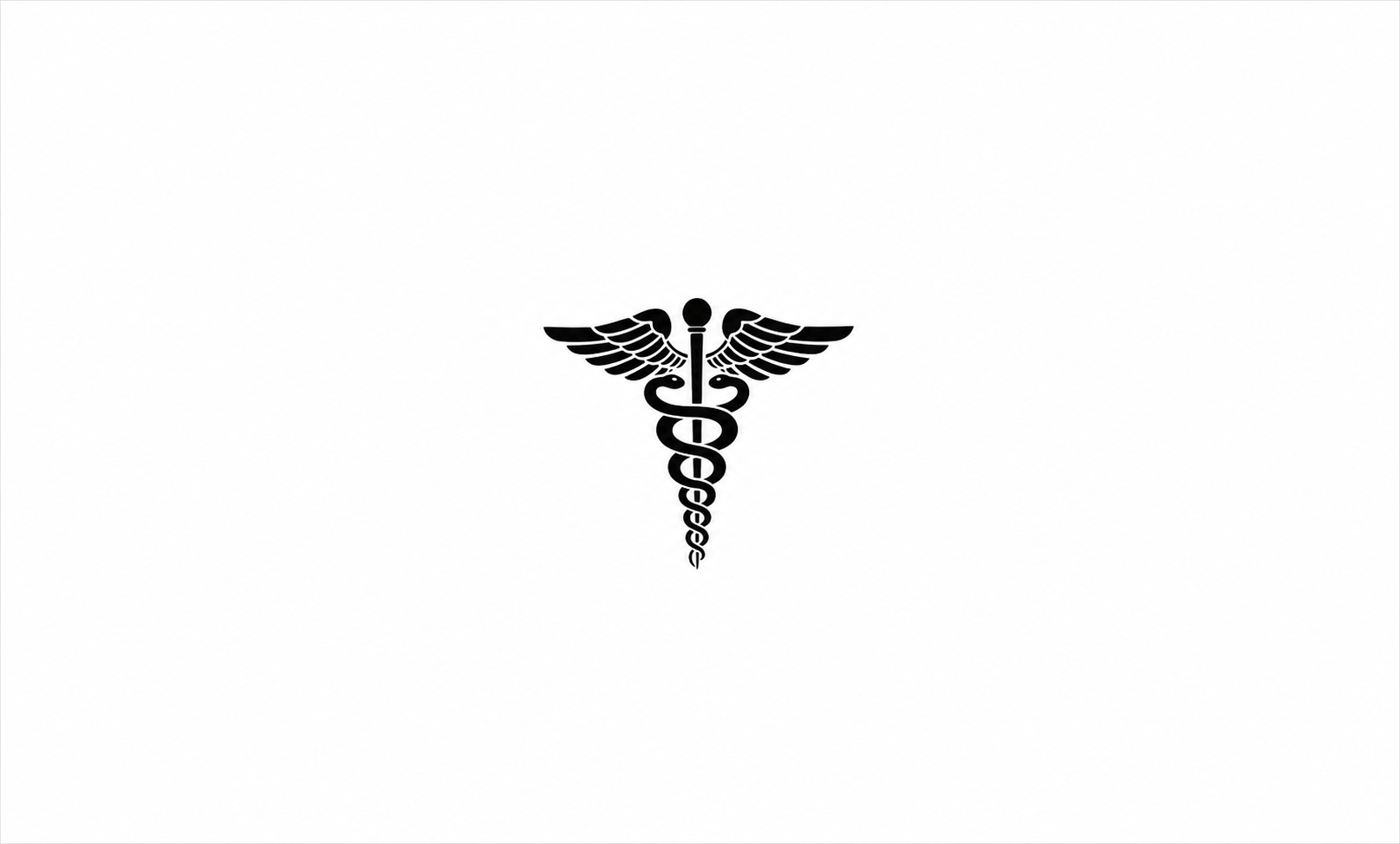 Physician collaborating in care planning
